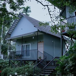 Mountain Vibes Resort Wayanad